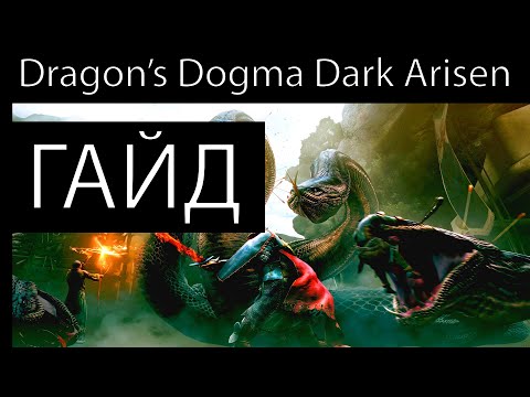 Видео: Вам лень разбираться в Dragon's Dogma: Dark Arisen
