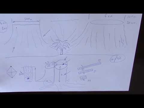 Видео: ДЛR#131. Камень-дерево. Пенёчек.