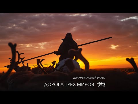Видео: ДОРОГА ТРЁХ МИРОВ (полная версия) Фильм Веры Вакуловой о буднях оленеводов Канинской тундры. 2017