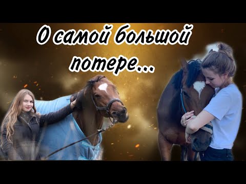 Видео: Моя история || О потере, предательстве, конном спорте...