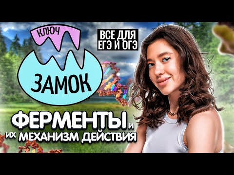 Видео: Новые темы ЕГЭ 2023: Ферменты и механизмы их действия