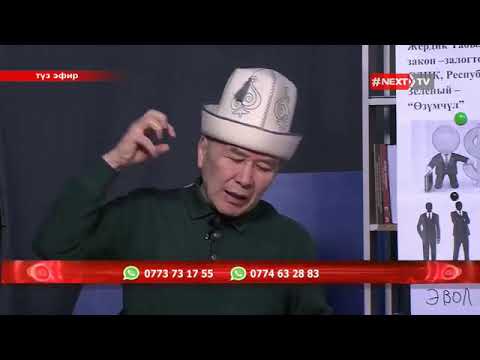 Видео: Кыргызча Куран