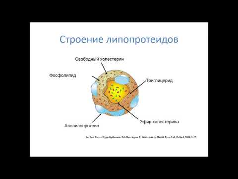 Видео: Атеросклероз. ИБС. Стабильная стенокардия.