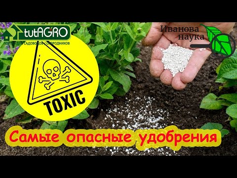 Видео: САМЫЕ ОПАСНЫЕ УДОБРЕНИЯ, КОТОРЫЕ ОТРАВЯТ УРОЖАЙ! Как не вырастить отраву в саду и в огороде.