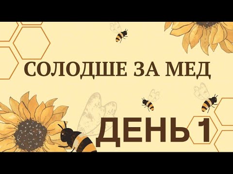 Видео: Табір 2025 "Солодше за мед" - 1 день