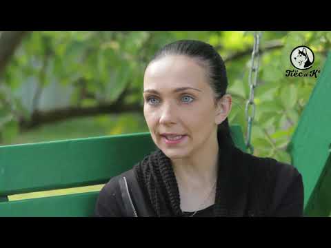Видео: Такая порода - Померанский шпиц