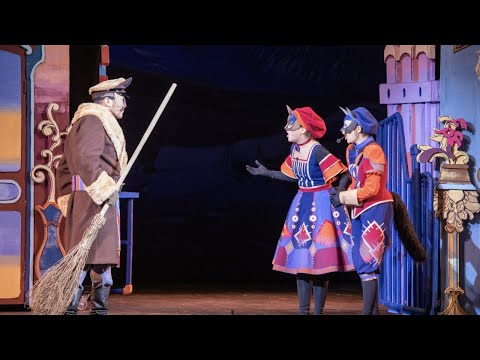Видео: Кошкин дом