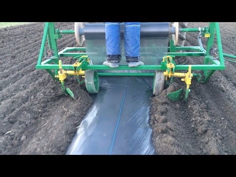 Видео: Мульчируем почву с помощью пленкоукладчика.