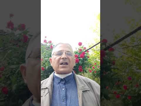 Видео: Правильные приемы пищеводного разговора