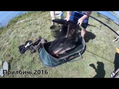 Видео: Прилбичі 2016 рибалка