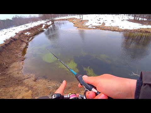 Видео: ПРЕДНЕРЕСТОВЫЙ ЖОР ЩУКИ НАЧАЛСЯ! Глубины МЕТР, но СКОЛЬКО ТУТ РЫБЫ! Рыбалка на спиннинг весной!