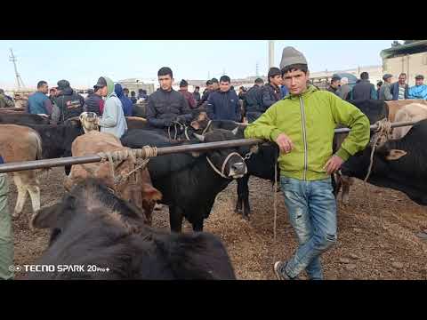 Видео: Молбозори ноҳияи Чиликул 05: 11  :2025