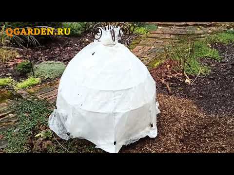 Видео: Как использовать клети от QGARDEN для зимнего укрытия роз и других растений