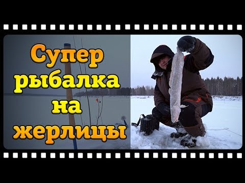 Видео: Налим на жерлицы зимой или зимняя рыбалка перед новым годом.