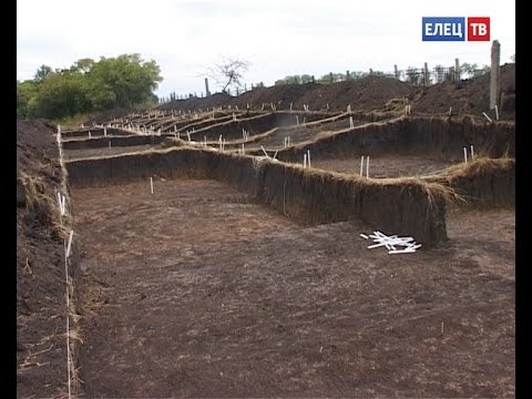 Видео: Тайны из глубины веков: во время раскопок в Ельце археологи нашли уникальные артефакты