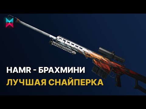 Видео: HAMR Брахмини - лучшая снайперка в игре! Билд в Once Human