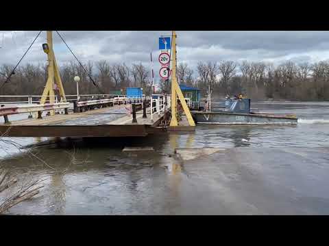 Видео: Дон Переправа Галиёвка-Подколодновка Мост снят 12 марта  2023