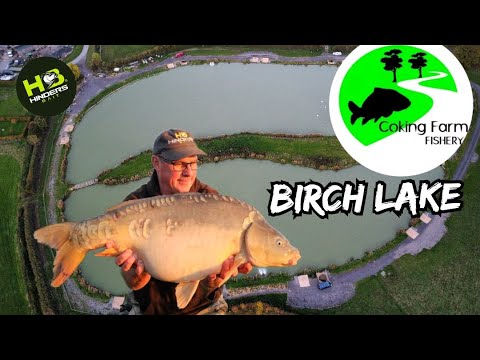 Видео: 326 Коксовая ферма | Берч-Лейк