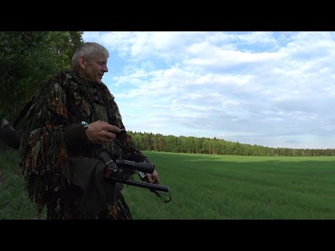 Видео: Открытие охоты на самца косули в РБ 2019. Бекас-Авто, подствольный фонарь Armytek Viking