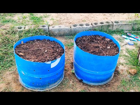 Видео: Превратите старые пластиковые бочки в суперплодородные высокие грядки!