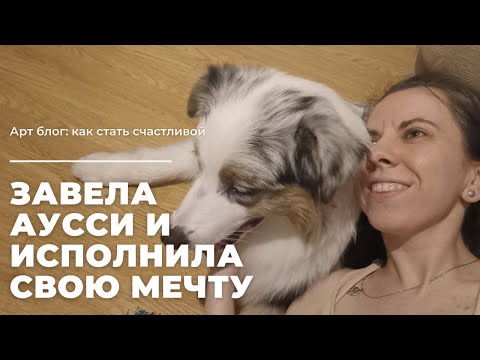 Видео: Завела аусси и стала счастливой