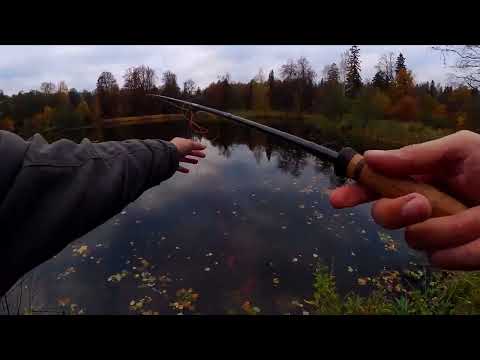 Видео: Щучий нахлыст, нужен ли для щуки switch-rod.