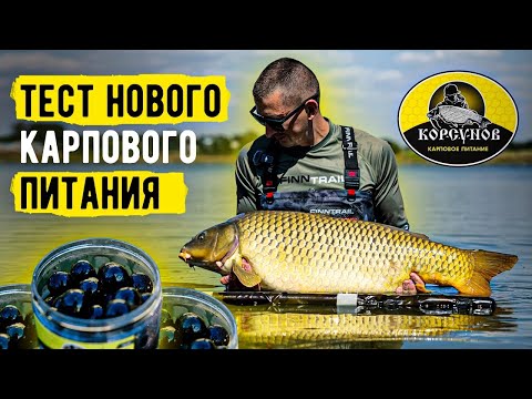 Видео: Бешеный Тест нового питания «КОРСУНОВ». КАК ЛОВИТЬ КРУПНОГО КАРПА?