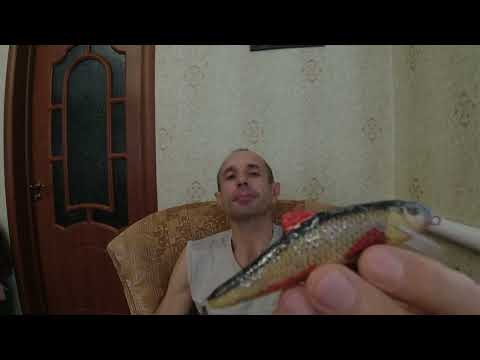 Видео: Топ 2021 лучших воблеров на щуку