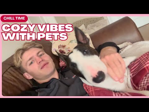 Видео: Обзор развития земельных участков и инфляции