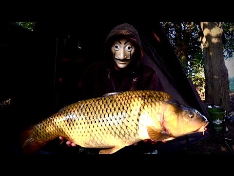 Видео: Рыбалка на карпа в жару +35 | лучший монтаж на карпа | ловля в полнолуние | водоём каневской | HD
