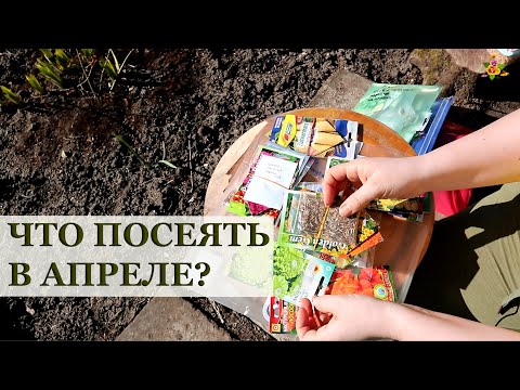 Видео: ЧТО ПОСЕЯТЬ В АПРЕЛЕ? / Мои планы на посевы