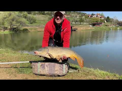 Видео: Aприлски шарани и амури - риболов на метод фидер и пелет ваглер