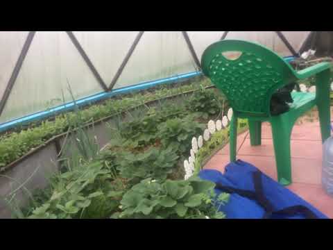 Видео: купольная теплица (оранжерея) - 4 часть