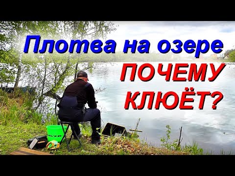 Видео: Плотва на озере весной.  Почему клюёт,а почему нет?