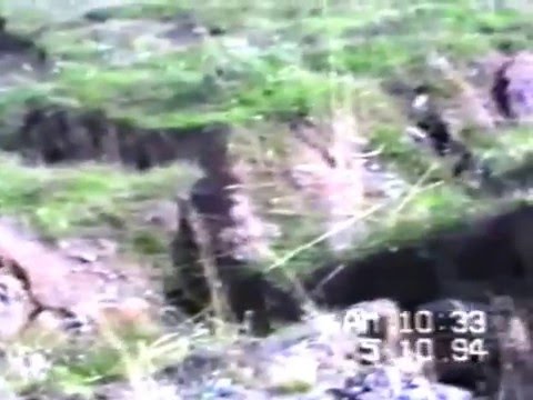 Видео: Землетрясение Итуруп 1994