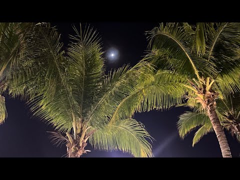 Видео: Отдых на Хайнани / Vlog от мамы