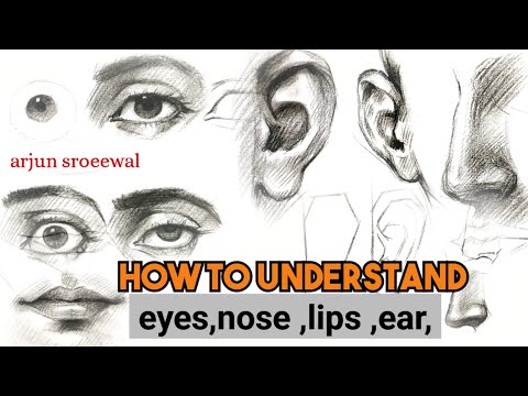 Видео: Как понять глаза, нос, губы, ухо, || Как рисовать #глаза #нос #губы #ухо #урок рисования