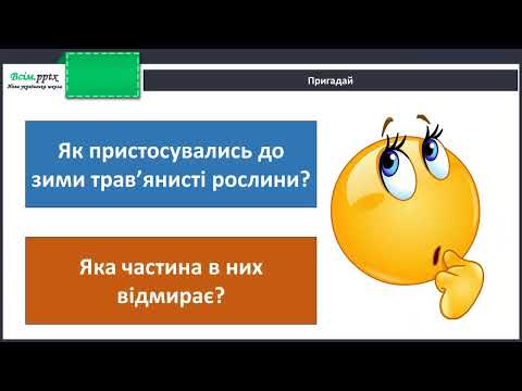 Видео: Як почуваються рослини взимку
