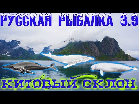 Видео: Русская рыбалка 3.9.  Лофотенские острова. Ловим китов на мясо кальмара.