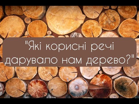 Видео: Користь дерева. Які корисні речі дарує нам дерево?. Відео для дітей. Навчаємось разом.