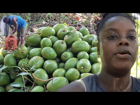 Видео: НА РЫНОК! НА РЫНОК!