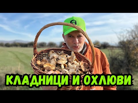 Видео: #Кладниците са нападнати от #Охлюви