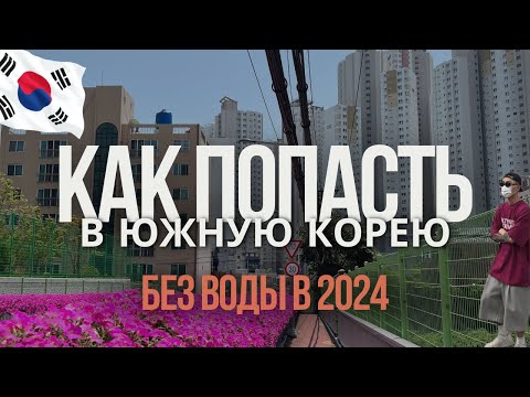 Видео: КАК ПОПАСТЬ В ЮЖНУЮ КОРЕЮ В 2024 | краткий гайд