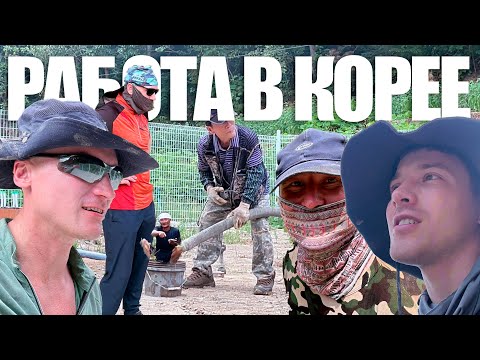 Видео: Почему работа в Южной Корее может стать Вашим ЛУЧШИМ решением в жизни #korea #work #money