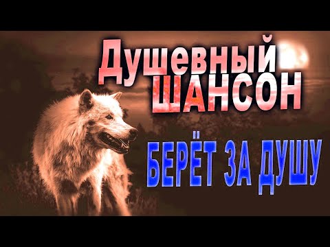 Видео: Любимые песни ЗА ЖИЗНЬ КЛИПЫ