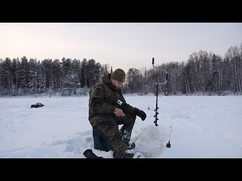 Видео: Такого клева я еще не видел. Республика Коми. Нас много.