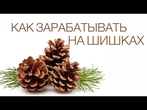Видео: КАК ЗАРАБОТАТЬ ДЕНЬГИ ИЗ НИЧЕГО Новогодний декор с шишками букет из шишек зимняя эко композиция