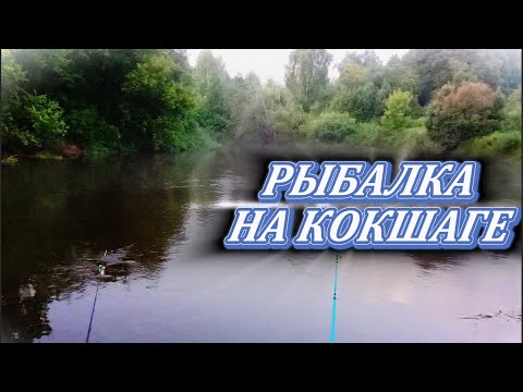 Видео: РЫБАЛКА НА НОЛЬКЕ ВСЕ ЧАСТИ | 3:51 МИНУТЕ | ВСЕ ФОТО С РЫБАЛКЕ СМОТРИТЕ ДО КОНЦА!) #fishing #рыбалка