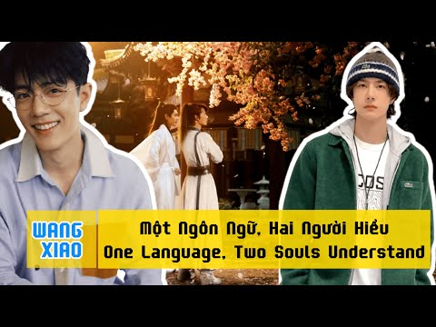 Видео: ➡️ [ГОРЯЧО] «Северо-восточный сигнал» Ван Ибо для Сяо Чжаня? Фанаты сходят с ума!!!
