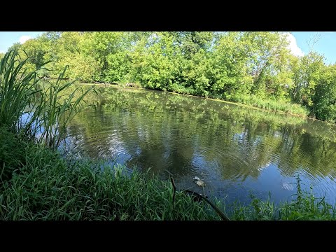 Видео: Ночная РЫБАЛКА на КАРАСЯ 2025 • Ловля на фидер на дикой реке